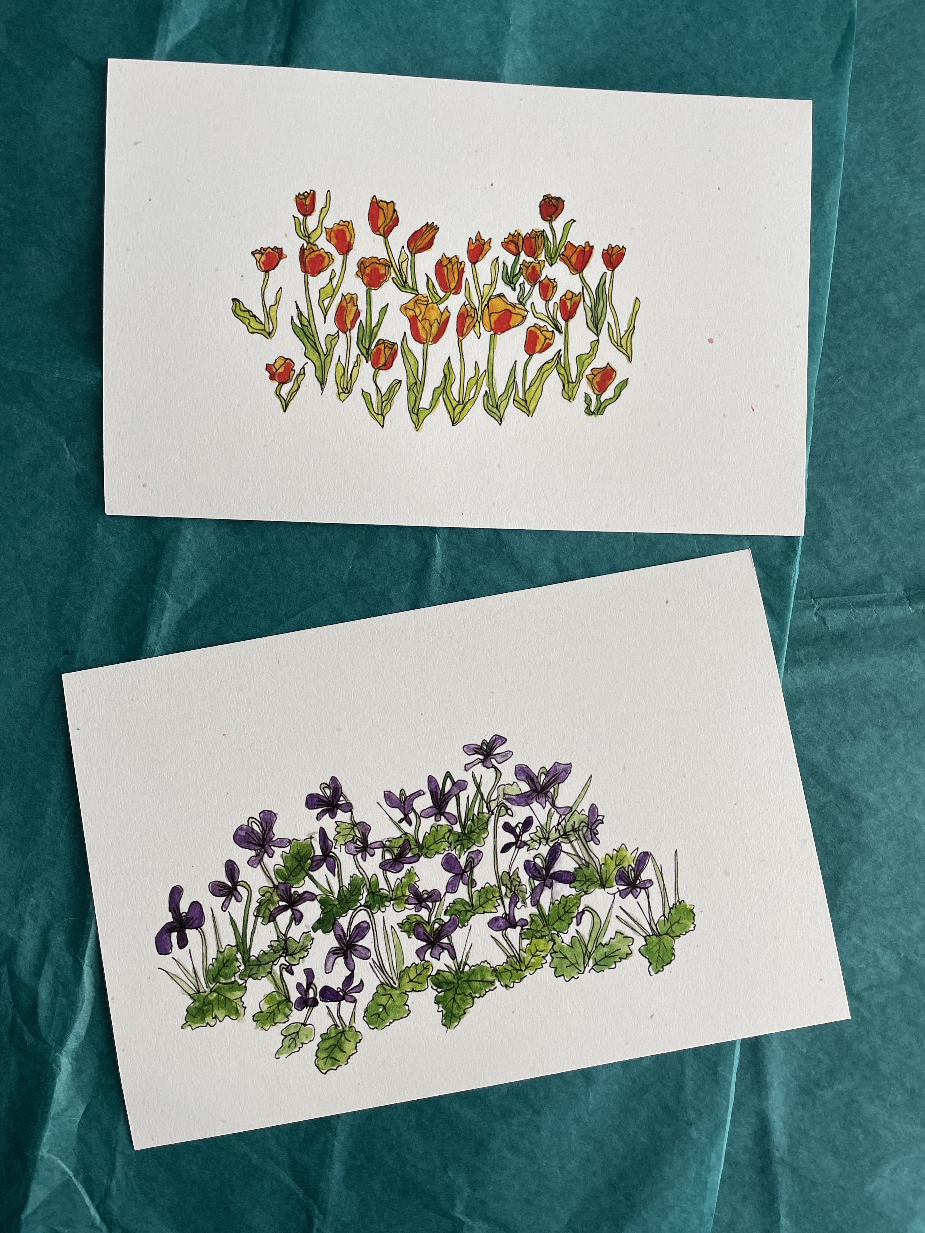 a set of two watercolors depicting tulips and violets