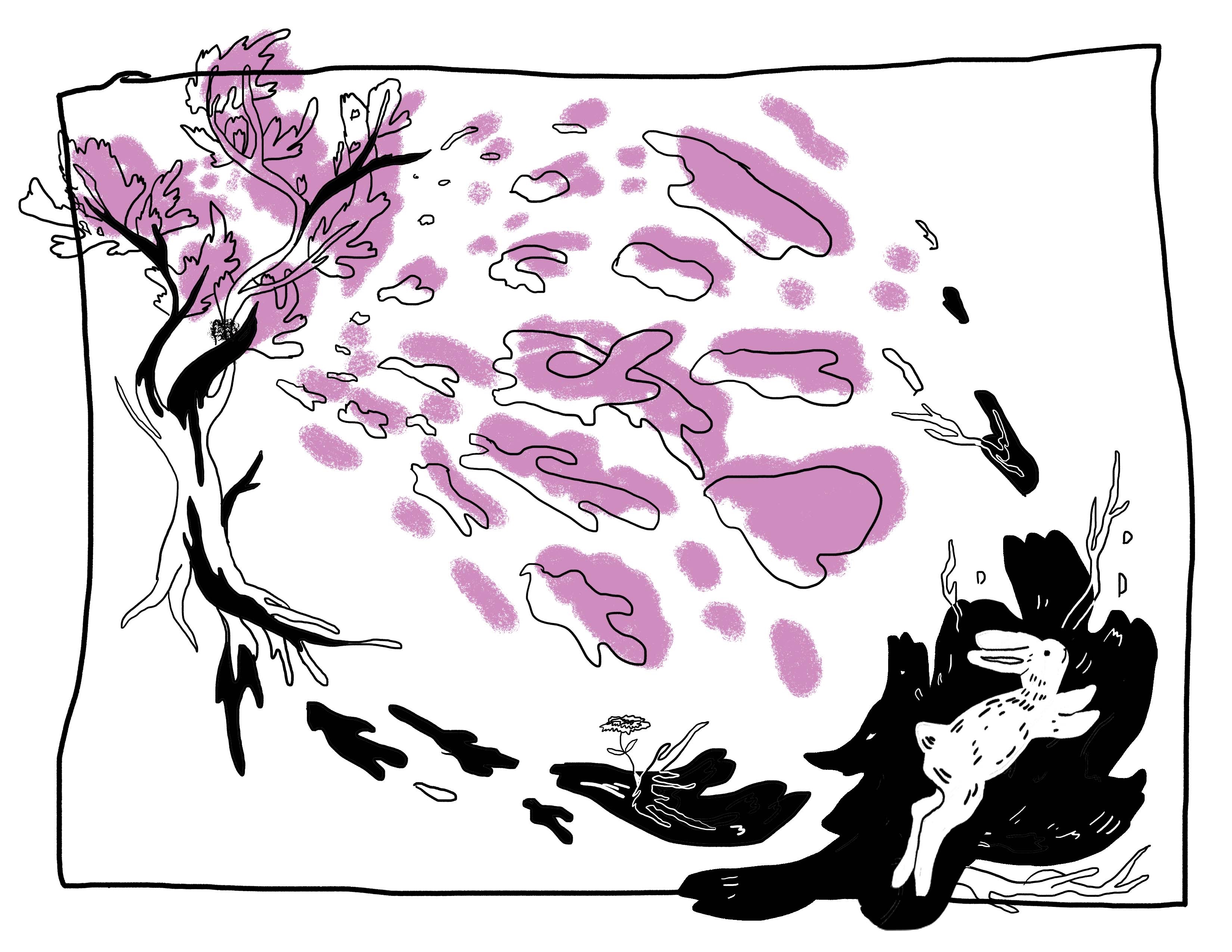 a comic featuring a drawing of a rabbit underneath a cherry tree that's dropping blossoms