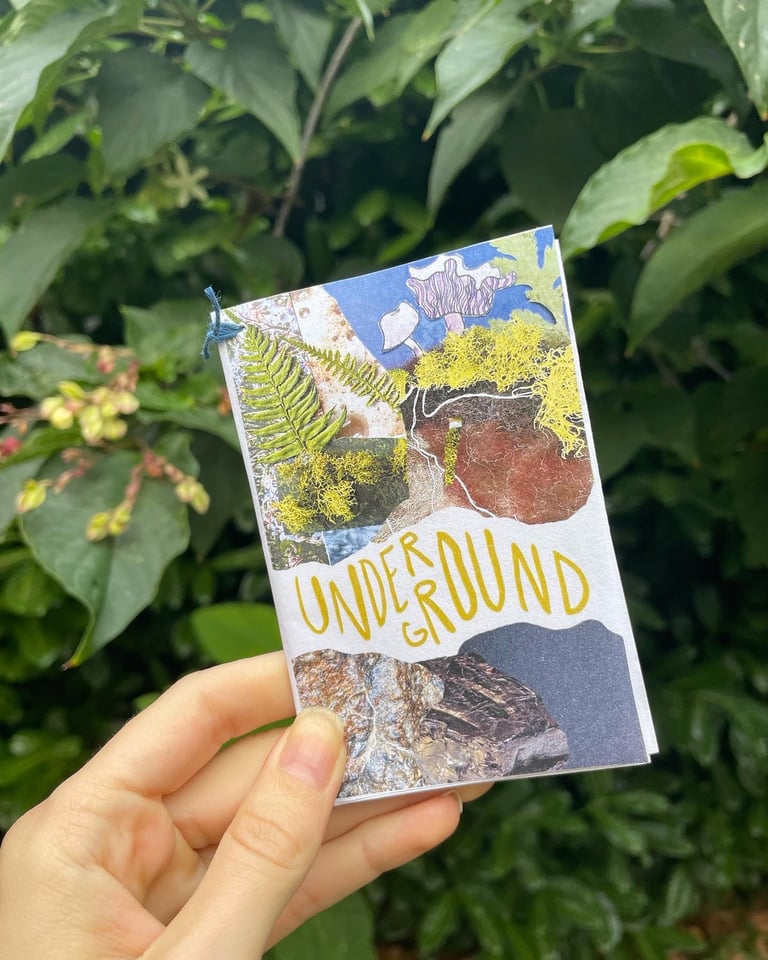 a poetry zine featuring a mushroom collage on the cover